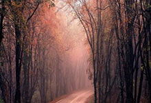 2平12负，埃迪-豪执教生涯对利物浦连续14场不胜.