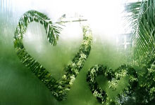 天博体育：前英格蘭前鋒直言：拉什福德被高估.