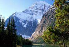 天博体育：官宣：阿利森榮獲8月英超最佳撲救獎！.